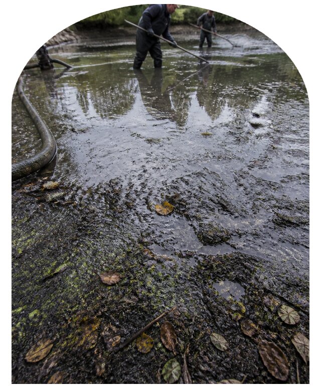 Очистка пруда в Североморске от ила мусора и водорослей с вывозом